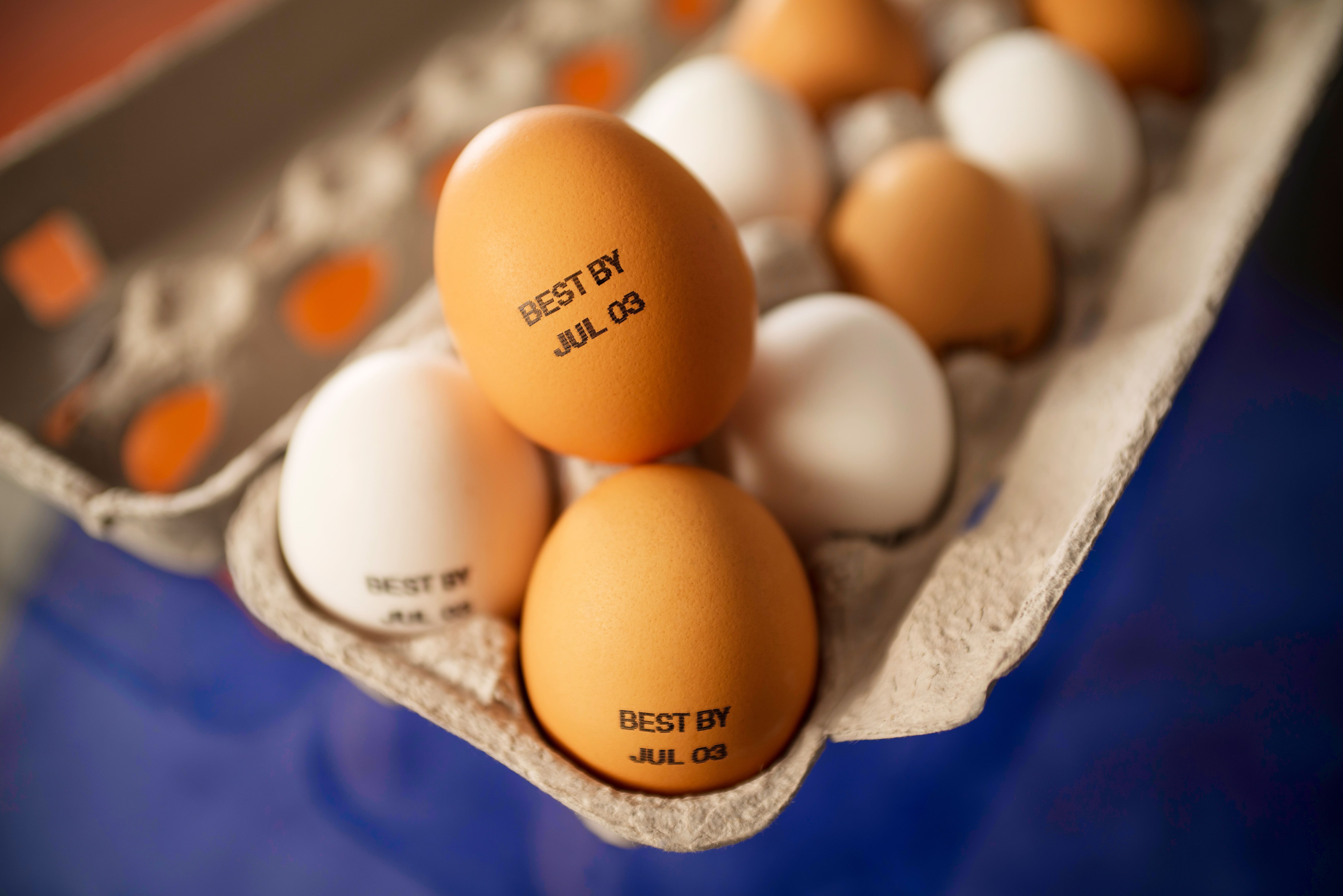 Et-Et Ürünleri ve Yumurta